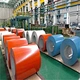 Color Coated Coil Steel Coil